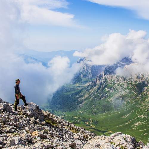 Photo #11492759