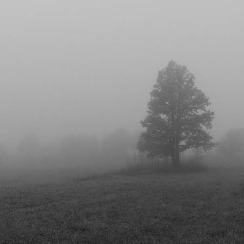 Photo #11492788