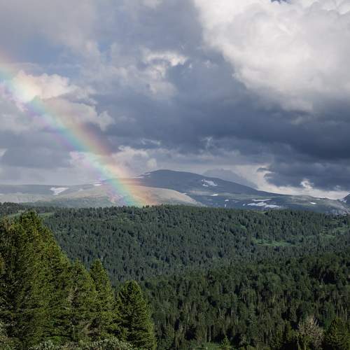 Photo #11493300
