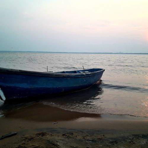 Photo #11493405