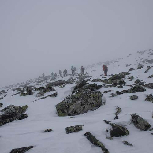 Photo #11493494