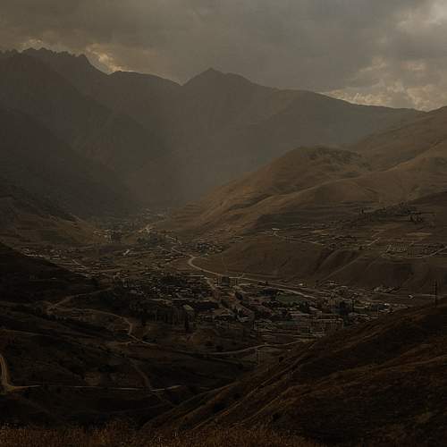Photo #11493991