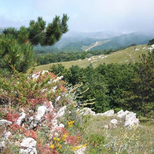 Photo #11494114