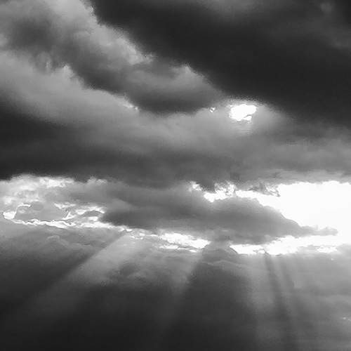 Photo #11494118