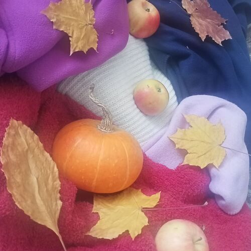 Photo #11494119