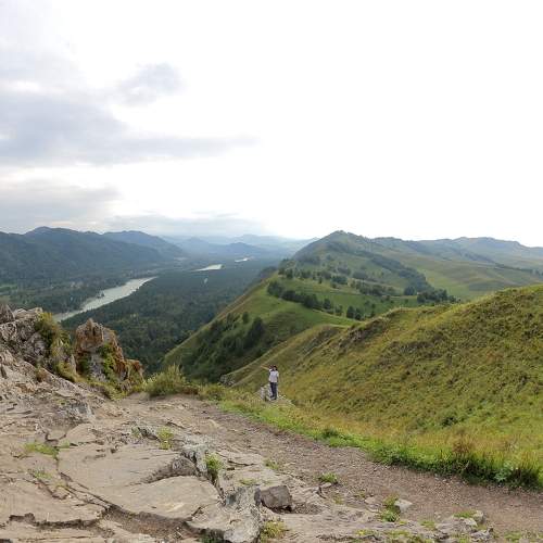 Photo #11494192