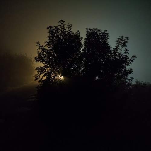 Photo #11494454