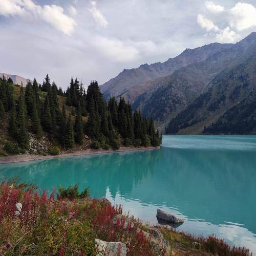 Photo #11494529