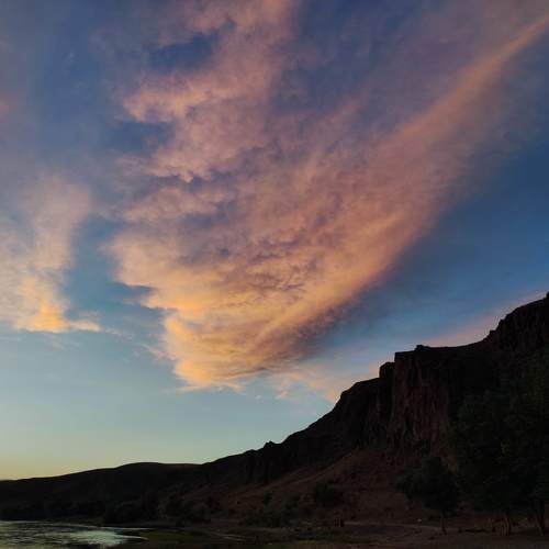 Photo #11494655