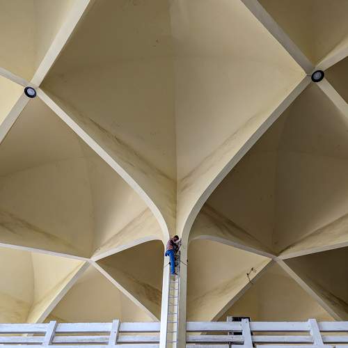 Photo #11495033