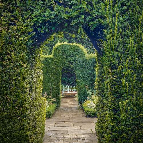 Secret Garden