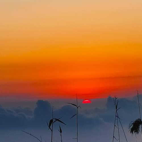 Photo #11495173