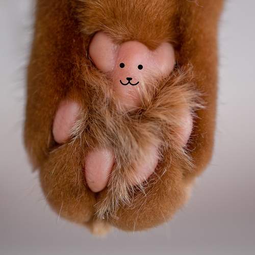 Photo #11495202