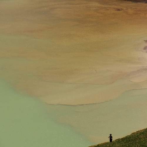 Photo #11495302