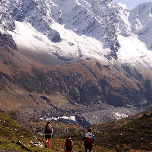 Photo #11495317