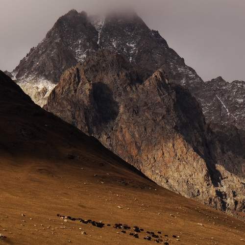 Photo #11495350