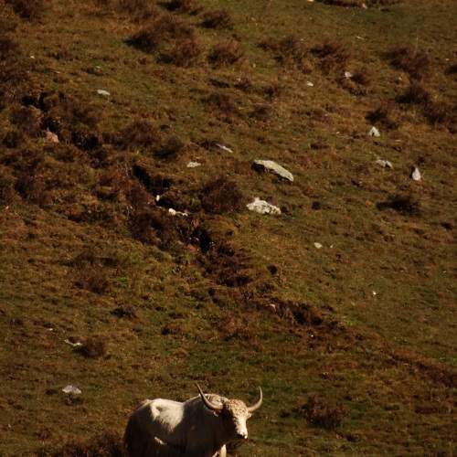 Photo #11495379