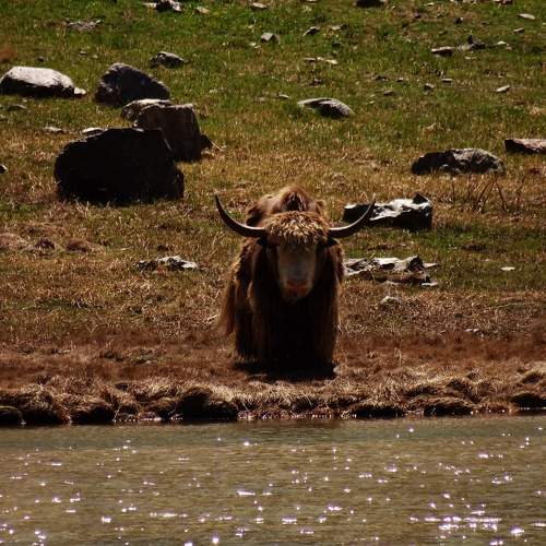 Photo #11495391