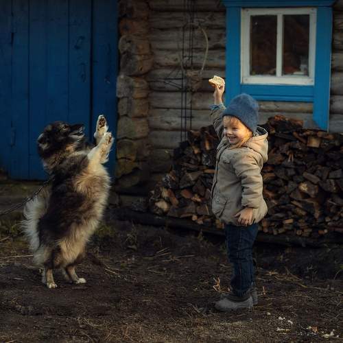 Photo #11495404