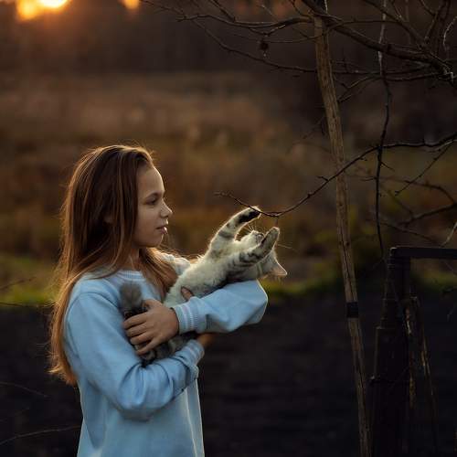 Photo #11495480