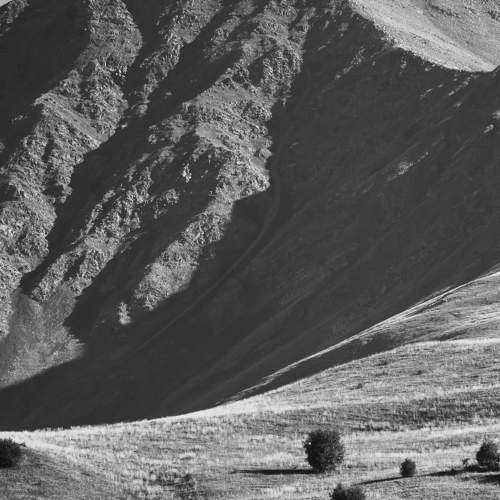 Photo #11495631