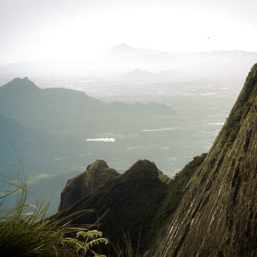 Photo #11495827