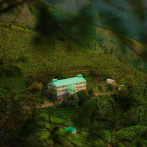 Photo #11495829