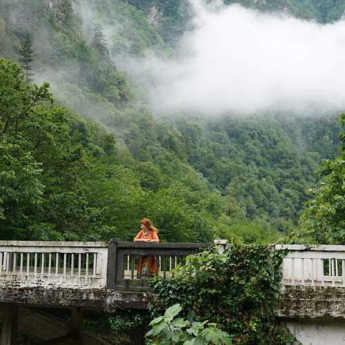 Photo #11496195