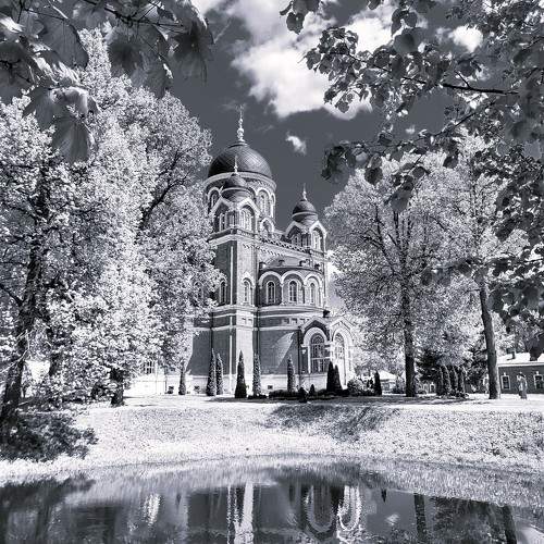 Photo #11496274