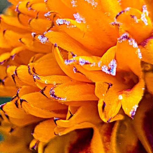 Photo #11496310