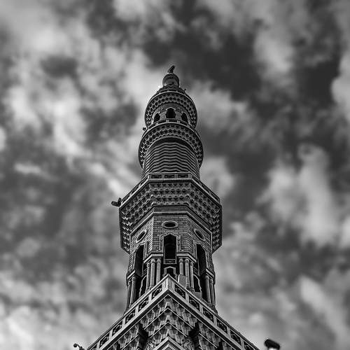 Photo #11496365