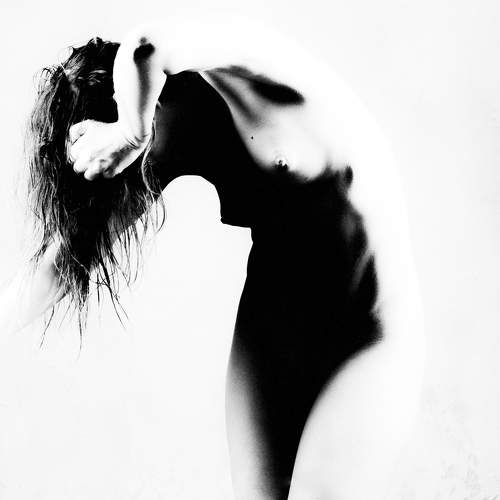 Photo #11496434