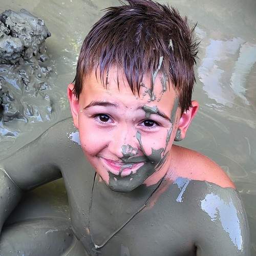 Photo #11496508
