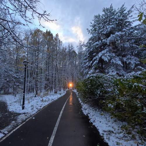Photo #11496520