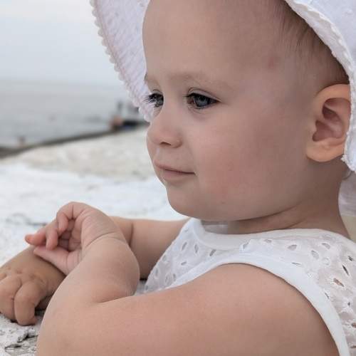 Photo #11496676