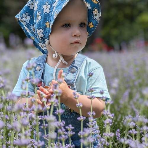 Photo #11496709