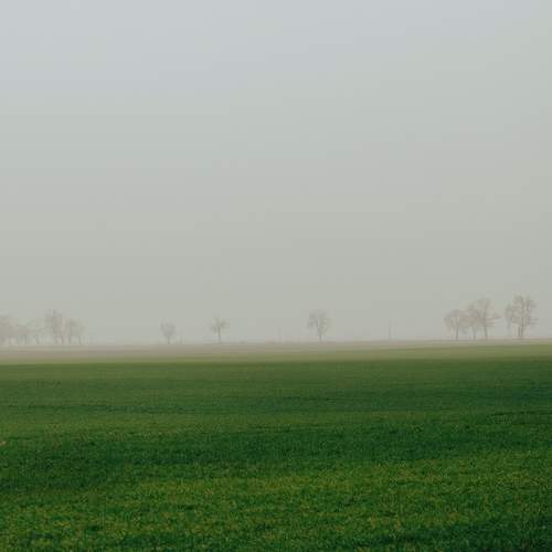 Photo #11496711
