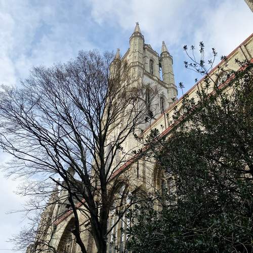 Photo #11496876