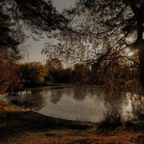 Photo #11497035