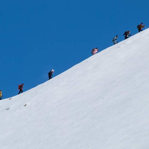 Photo #11497093