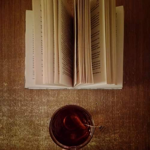 Photo #11497244