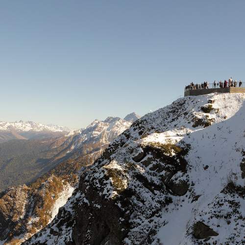 Photo #11497447