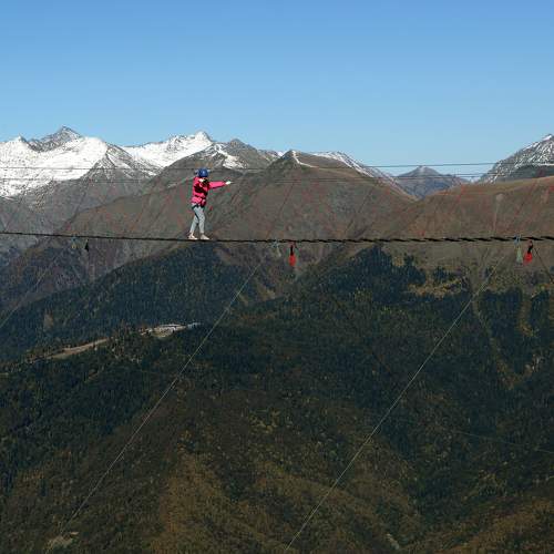 Photo #11497448