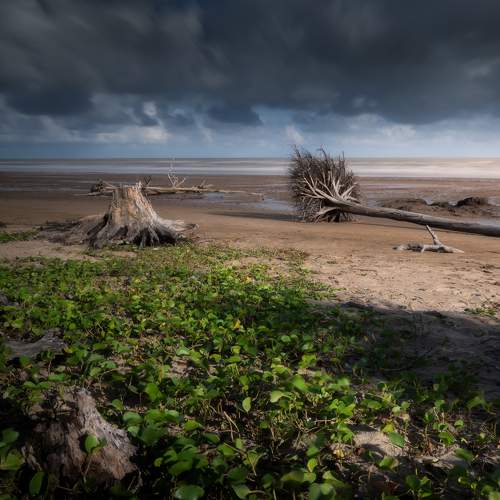 Фотография #11497586