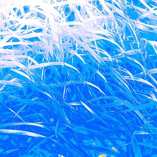 Bound by peace, calm, and tranquility