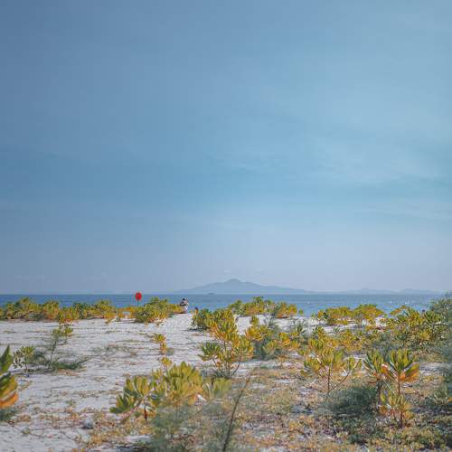 Photo #11497695