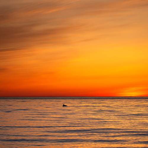 Photo #11497722