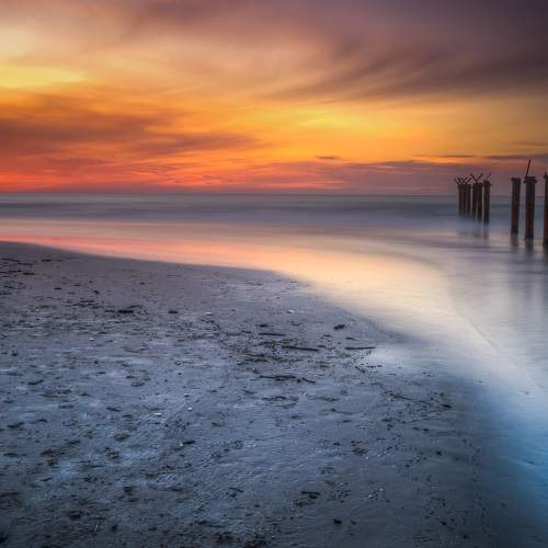 Photo #11497827