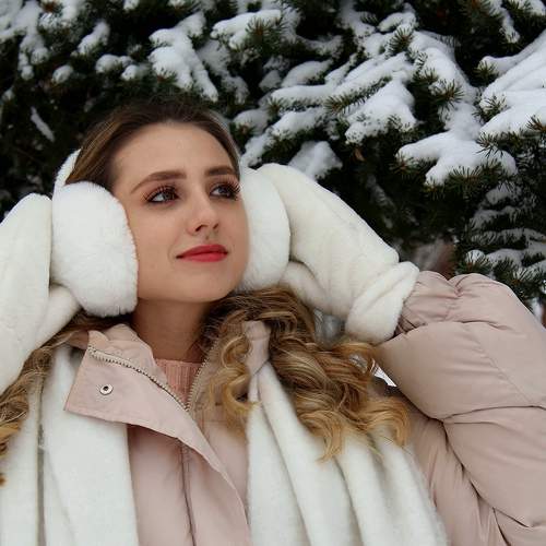 Photo #11497840