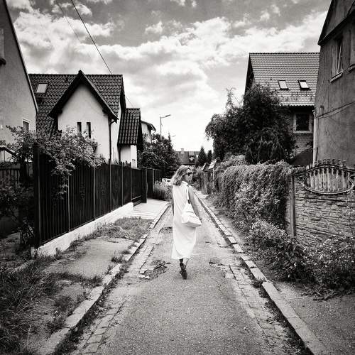 Photo #11497885